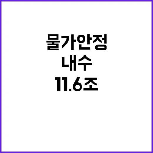 내수 살리기 11.…