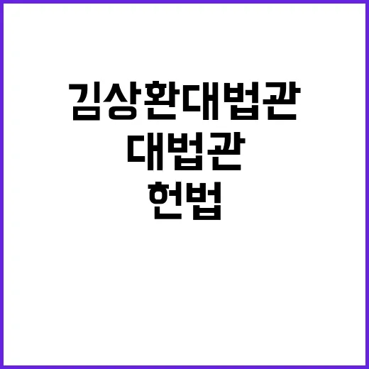 헌법 가치 김상환 …