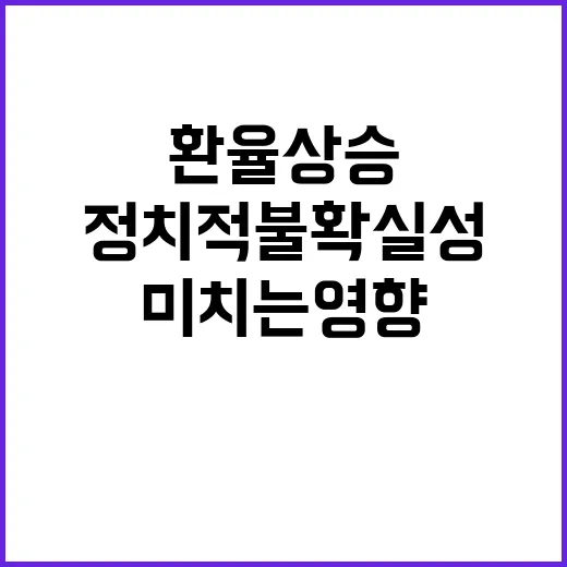 환율 상승 정치적 …