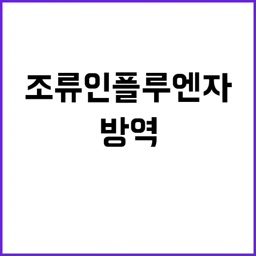 조류인플루엔자 방역…