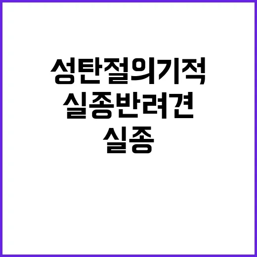 성탄절의 기적 실종…