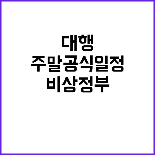 비상정부 최상목 대…