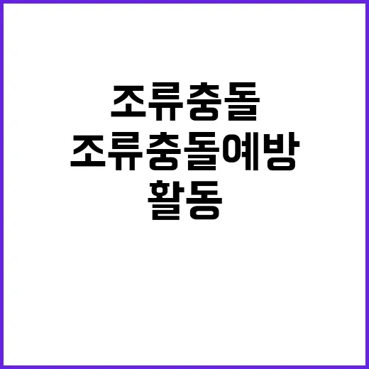 조류 충돌 예방 인력 활동 여부 긴급 점검!