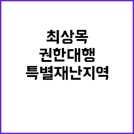 무안 특별재난지역 선포 권한대행 최상목 발표!