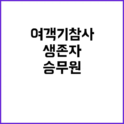 여객기 참사 생존자 두 승무원 서울 도착!