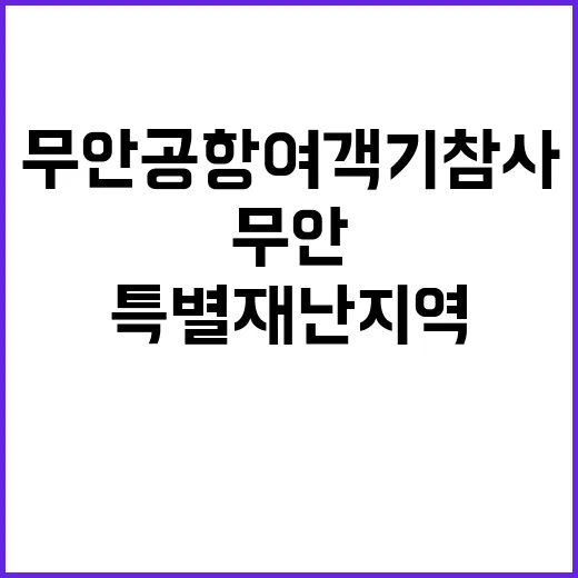 무안공항 여객기 참사 특별재난지역 급선포!