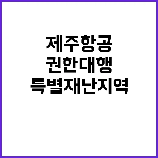 특별재난지역 제주항공 참사 후 권한대행의 결정!