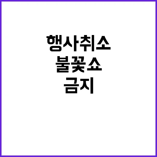 신년 행사 취소 불꽃쇼 6개월 금지 소식!