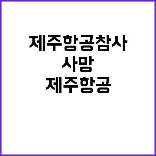 제주항공 참사 서울시민 6명 사망 소식!