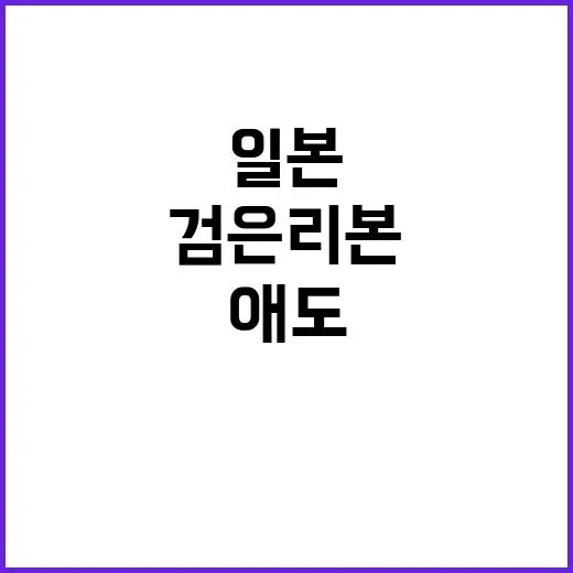 검은 리본 뉴진스 일본 생방송 애도 참여!