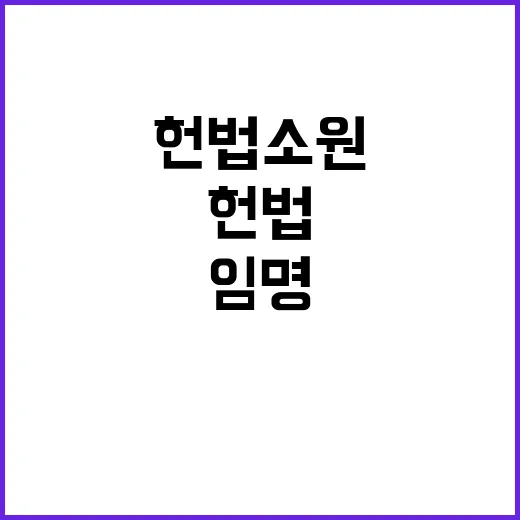 헌법소원 최상목 임명 불행사에 대한 도전!