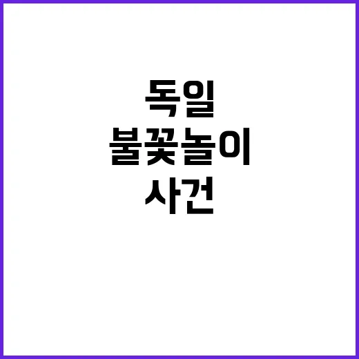 불꽃놀이 독일에서 5명 사망 사건 발생!