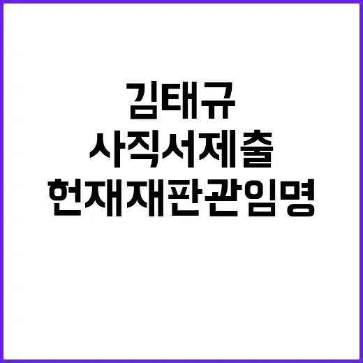 김태규 사직서 제출 헌재 재판관 임명 반발!