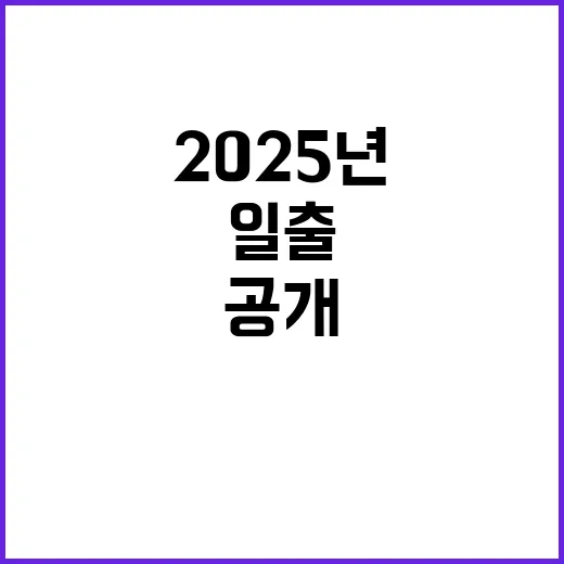 2025년 일출 시민들의 감동적인 순간 공개!