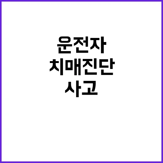 사상 13명 치매 진단 운전자 운전 사고 발생!