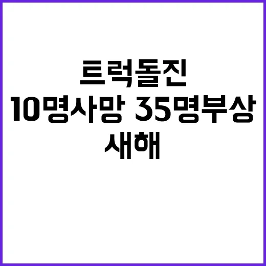 트럭 돌진 美 새해 군중 10명 사망·35명 부상