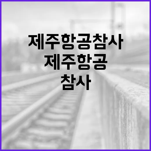 제주항공 참사 의사들 조롱글 진실은 무엇?