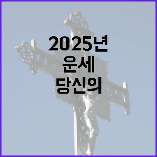 운세 나침반 당신의 2025년 운세를 확인하세요!