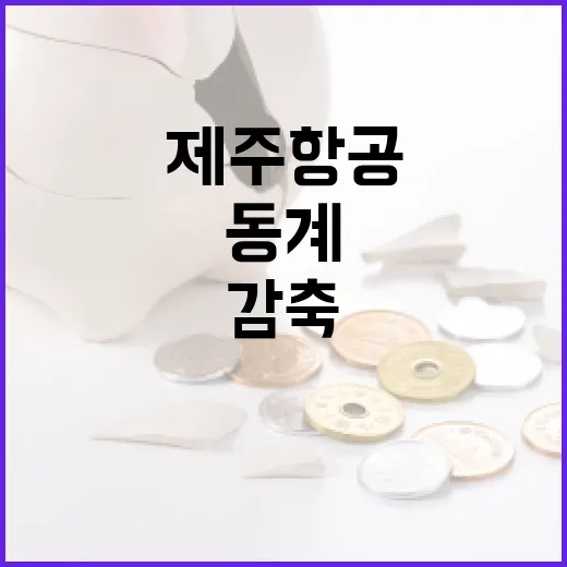 안전성 강화 제주항공 동계 감축 1900편 사실!