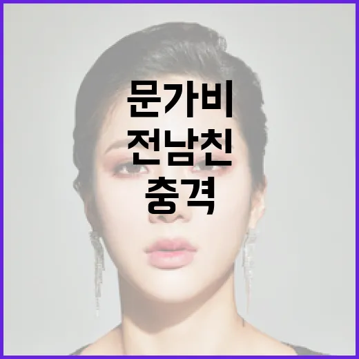 정체 밝혀진 문가비 전남친 진짜 충격 비밀!