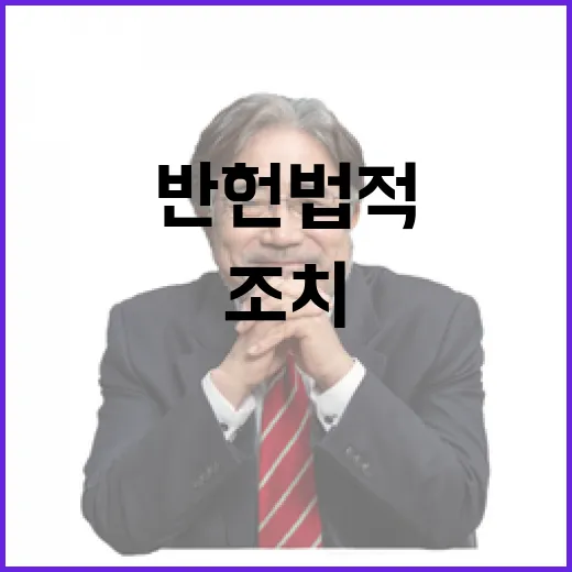 美 우려 尹 조치 반헌법적 국민 노력 인정