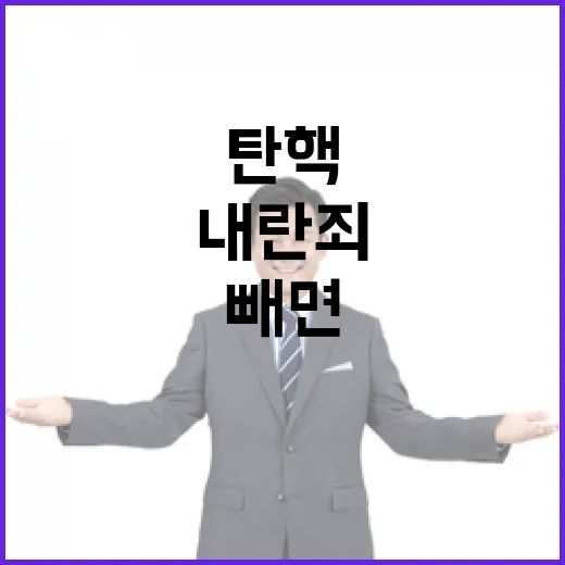 헌재 향한 여당 내란죄 빼면 탄핵 불가!