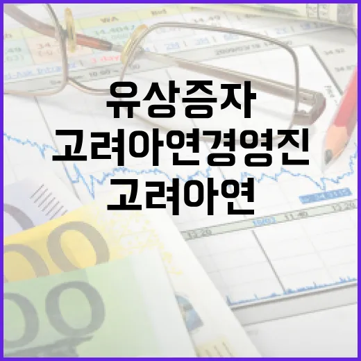 유상증자 의혹 고려…