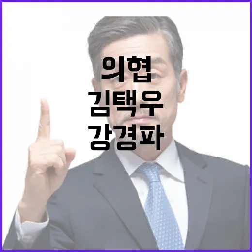 강경파 김택우 폭주기관차 멈춰야! 의협 발언 주목