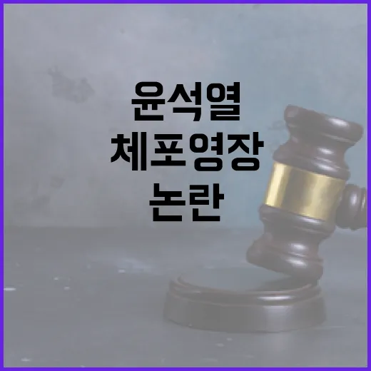 체포영장 윤석열 측의 효율성 논란이 뜨겁다!