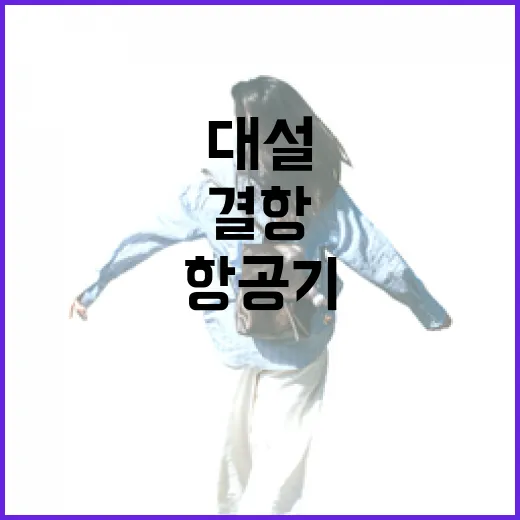 대설 항공기 136편 결항 및 여객선 77척 중단!