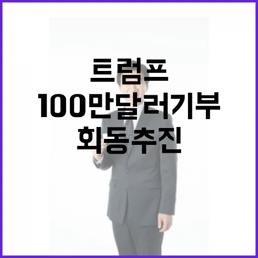 현대차 100만 달러 기부 후 트럼프 회동 추진!