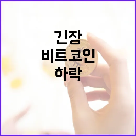 비트코인 다시 하락… 투자자들 긴장 상태 유지!