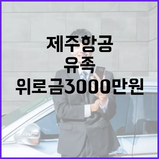 위로금 3000만 원 제주항공 유족 지원 발표!