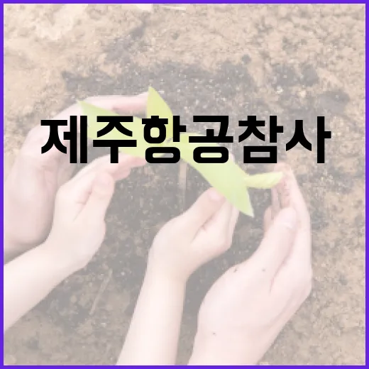 제주항공 참사…그들의 슬픔 우리의 기억으로.