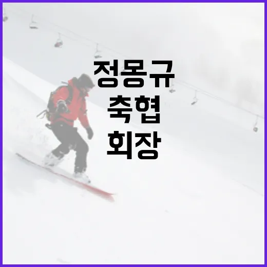 축협 공정위 정몽규 회장 징계 필요성 대두!