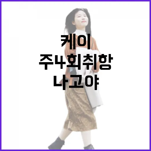 에어로케이항공 일본 나고야 주 4회 취항!