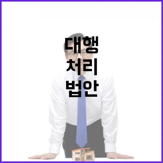 법안 처리 대행 거부권의 불가피한 선택!