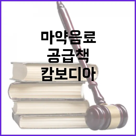 ‘마약 음료’ 공급책 캄보디아에서 26년형 선고!