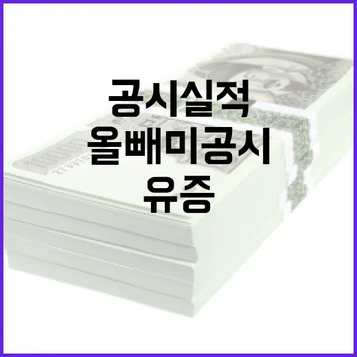 올빼미 공시 실적 …