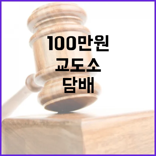 담배 핀 20대 교도소 벌금 100만원 폭탄!