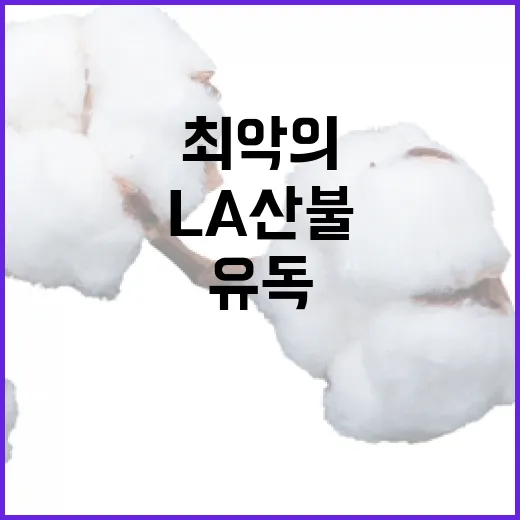 최악의 LA 산불 산사태와 유독물질 발생 경고!