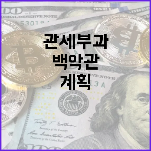 관세 부과 백악관의…