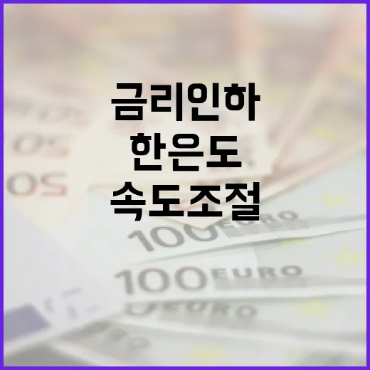 금리 인하 한은도 속도조절의 불가피한 선택!