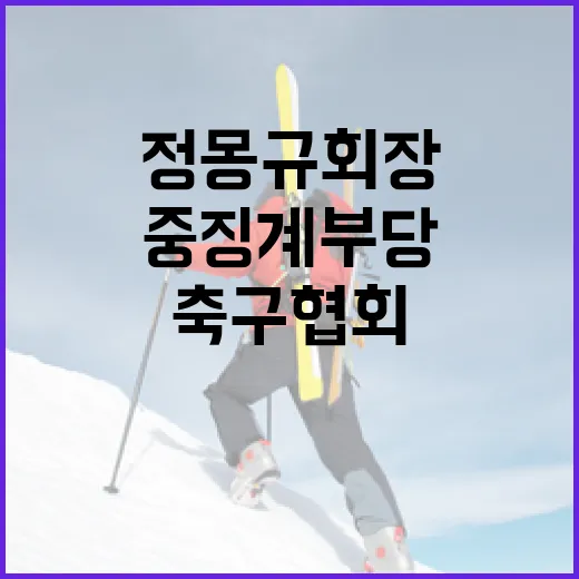 “정몽규 회장 중징계 부당 축구협회 행정소송!”