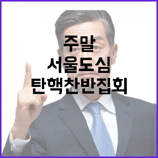 탄핵 찬반 집회 서울 도심에서 주말 개최!