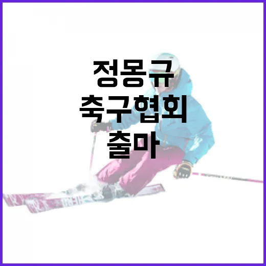 정몽규 출마 축구협회 결정의 배경은?