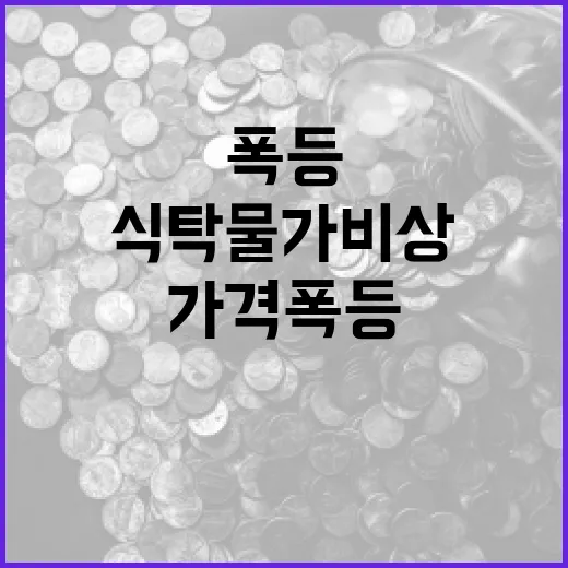 미국 식탁물가 비상 토마토와 소고기 가격 폭등!