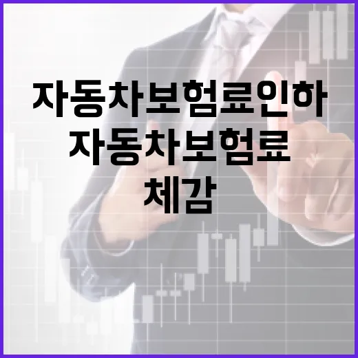 자동차보험료 인하 …