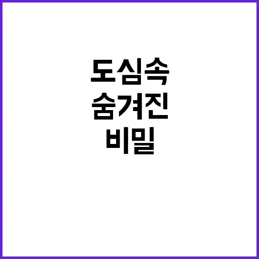 도시숲 비밀 숨겨진…