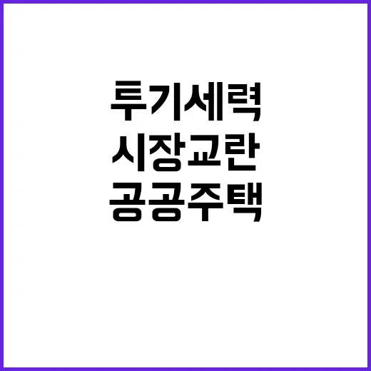 투기세력, 시장 교…